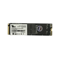 Ổ cứng SSD TRM N100 Pro 256GB NVMe M.2 2280 PCIe